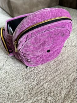Tushbaby hip carrier for babies and toddlers