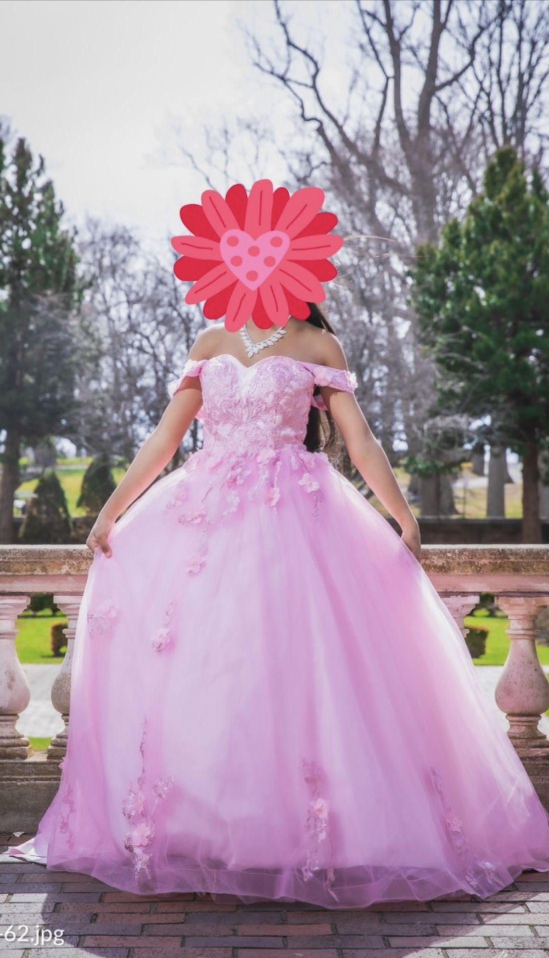  Quinceanera Dresses Ball Gowns for Women  Size 2 