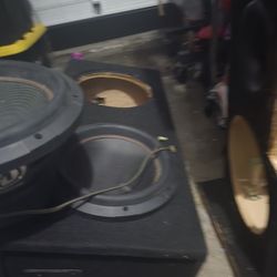 Speakers And Amps