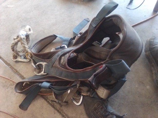 Climbing Harness