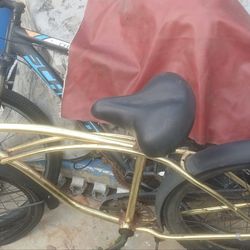 Gold beach cruiser, black schwinn , blue Nadine