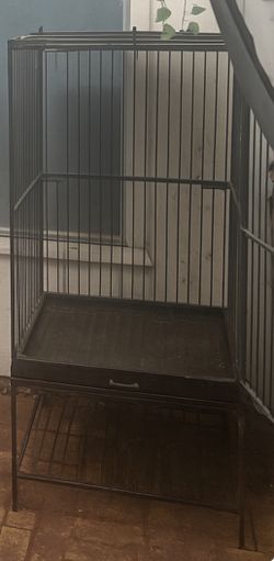 Bird Cage