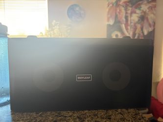 Karaoke Speaker With Two Microphones