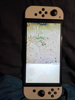 Nintendo switch oled