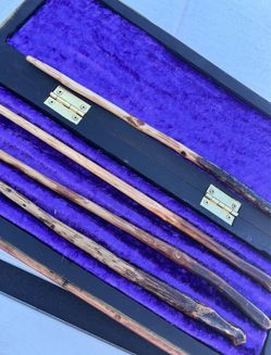 Wands and Case