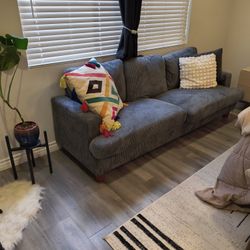 New Grey Couch 