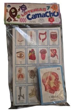 Vintage 1980s Lotería Camacho Human Body Educational Game | Bilingual | Made in Mexico