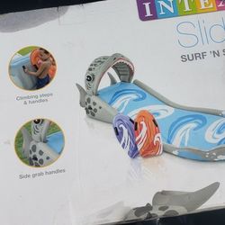 Waterslide Shark