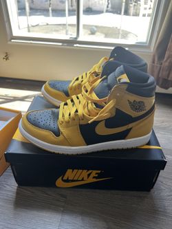 Jordan 1 Pollen