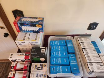 Large Lot of Incandescent Light Bulbs