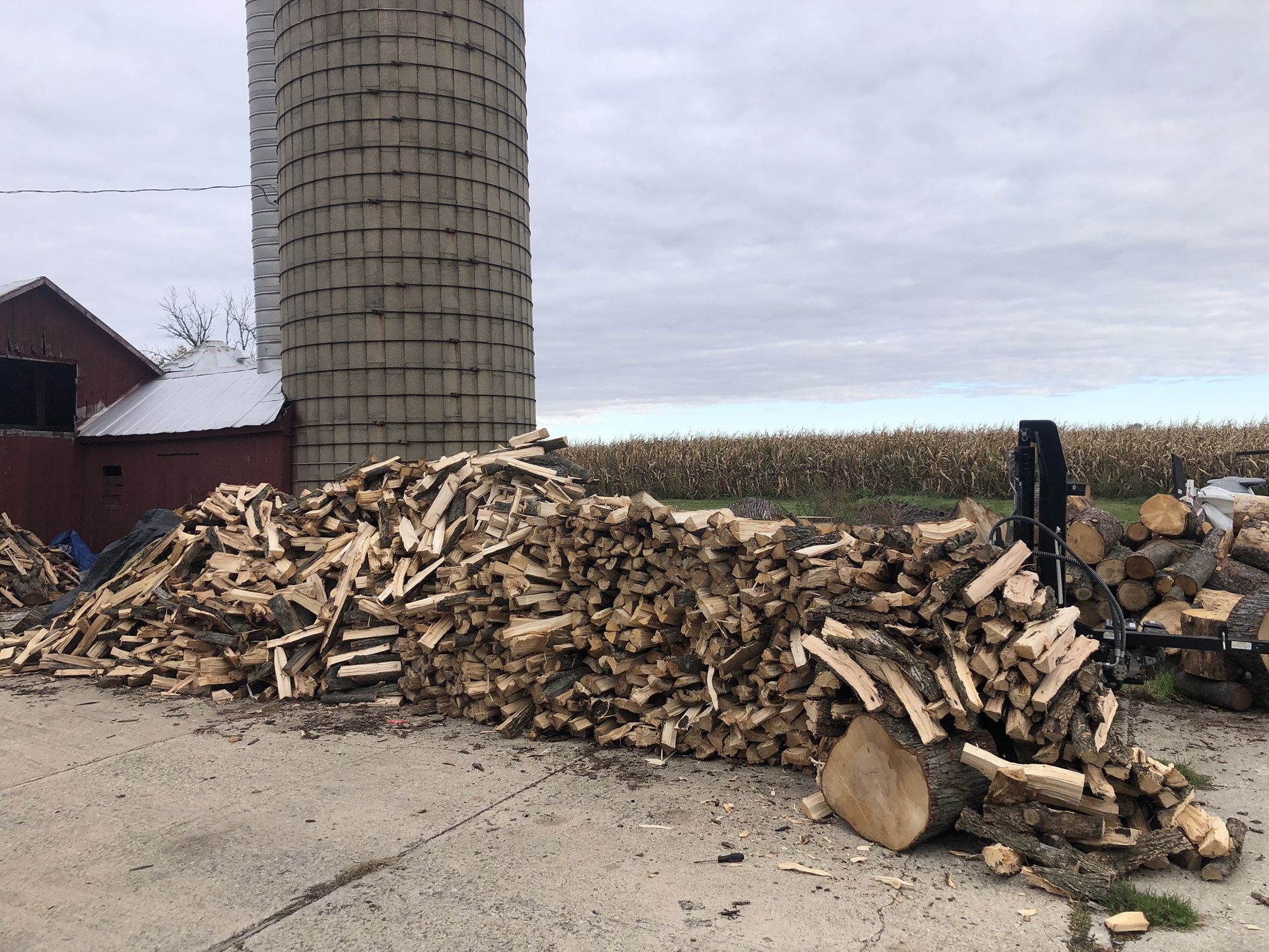 Firewood