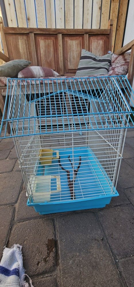 Bird Cage