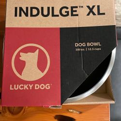 Dog Bowl 