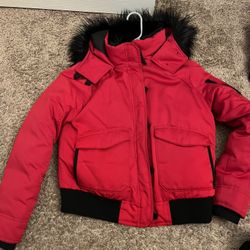 Winter Jacket 