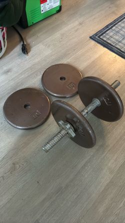 40lb weights & Weider curl bar