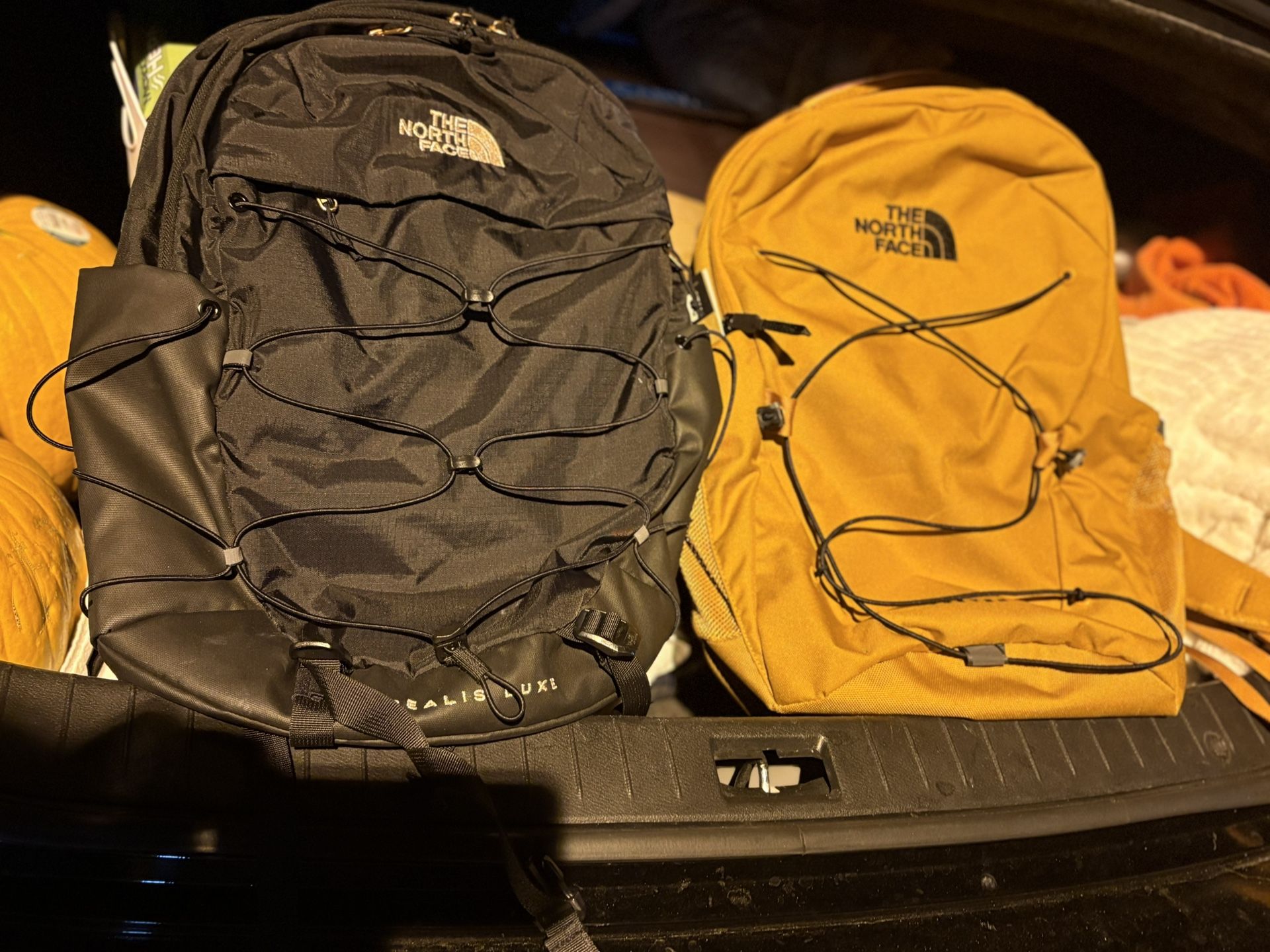 North face Backpacks