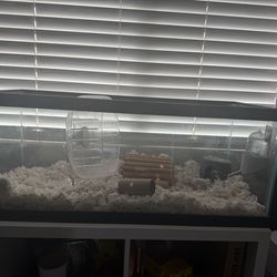 100 Gallon Tank With Wired Cover