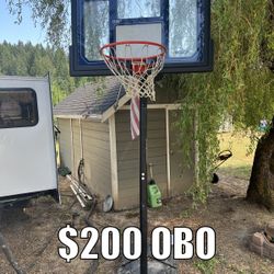 Lifetime Basketball Hoop