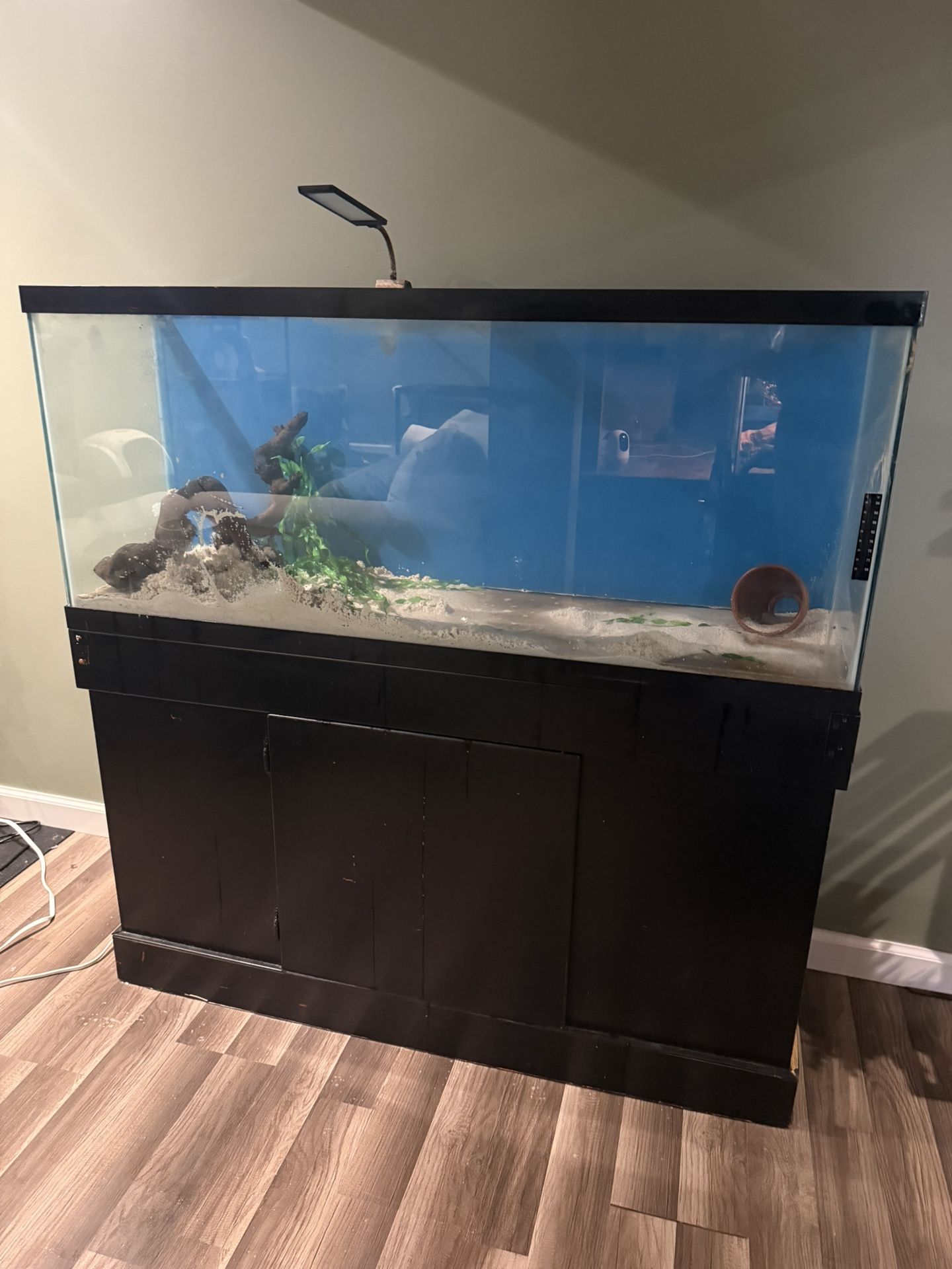 55 gallon fish tank with black storage stand