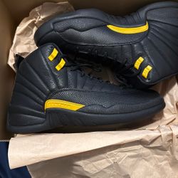 Air Jordan 12s Size 9