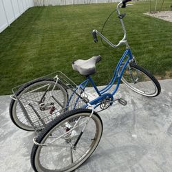 Adult Tricycle Bike 
