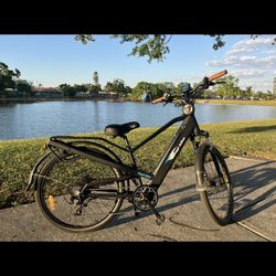E-Bike Perfect Condition 