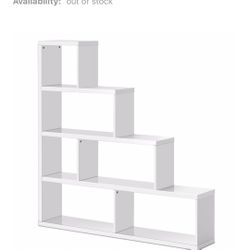 Great Shelf/ Storage Case