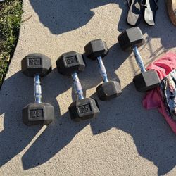 Free Weights (Yard Sale)