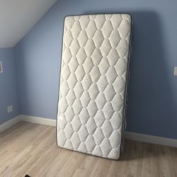 Vesgantti Twin XL Mattress 10 Inch