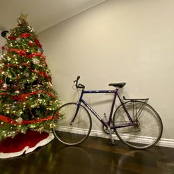 Pristine Cannondale R300 Vintage Road Bike – Large Frame, Garage-Kept – $400