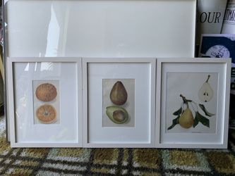 Set Of Vintage Botanical Prints