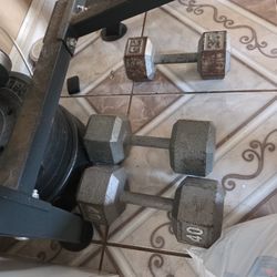 Weights & Bench Press 