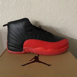 Jordan 12 Size 11 Men new 