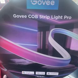 Govee COB Strip Lights