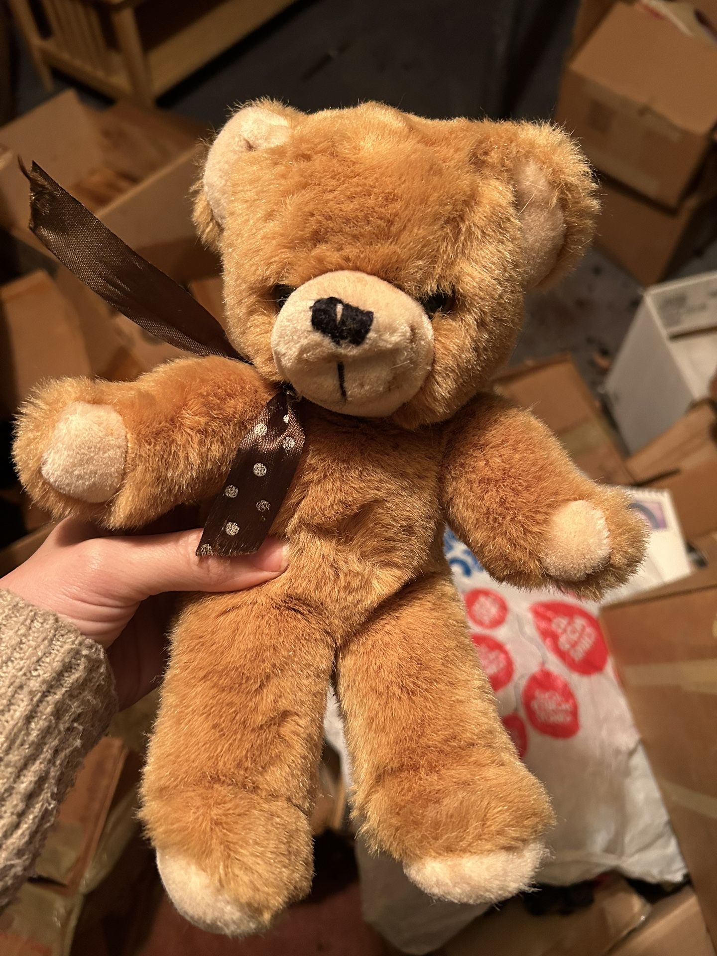 Vintage Teddy Bear 🧸