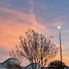 Alba 