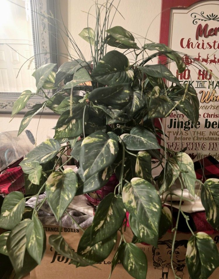 Nice Green Fake Plant