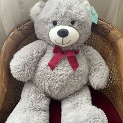 Hug Me Teddy Bear 