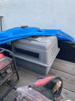 Pet cage medium