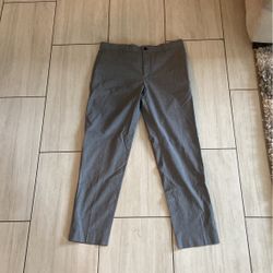 women’s Zara Pants