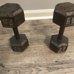Two 25 Dumbbells For 25 Dollar 