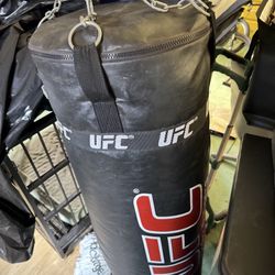 UFC Punching Bag 