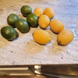 Like New Plastic Fruit