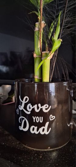 Father’s Day bamboos