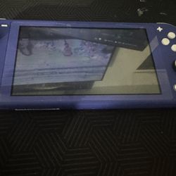 Nintendo switch lite