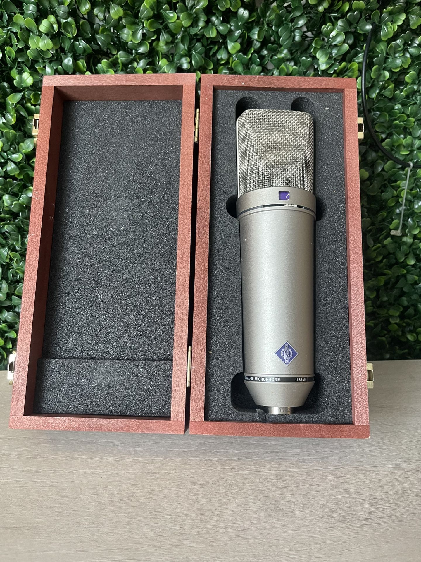 Neumann U87 Mic