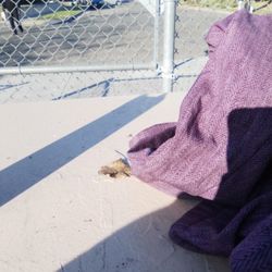 Any One Willing To Give. A Free Tent 