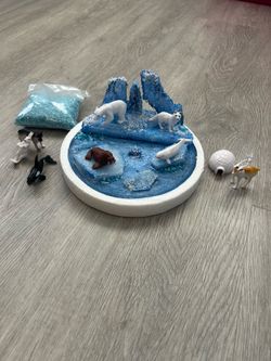 Arctic school projects