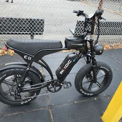 Electric Bike