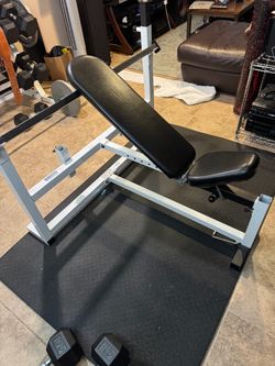 Parabody universal weight bench